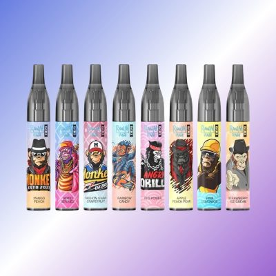 Randm Vase 600 Puffs | E papierosy Polska Randm Vase 600 Puffs | E papierosy Polska