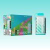 VOZOL Gear Power 20000 Puffs | E papierosy Polska VOZOL Gear Power 20000 Puffs | E papierosy Polska