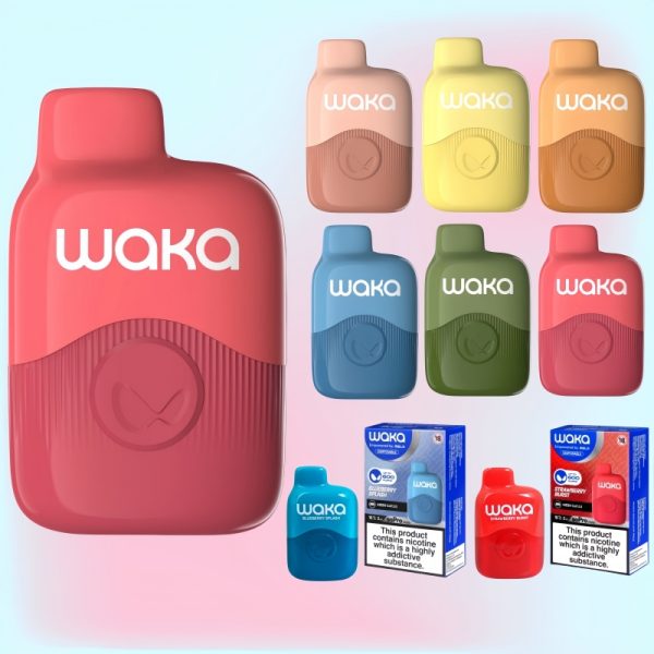 WAKA soPro PA600 | E papierosy Polska