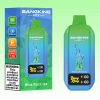 Bang King City 50000 Puffs | E papierosy Polska Bang King City 50000 Puffs | E papierosy Polska
