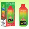 Bang King City 50000 Puffs | E papierosy Polska Bang King City 50000 Puffs | E papierosy Polska