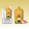 Aivono Aim Freak 13000 Puffs | E papierosy Polska Aivono Aim Freak 13000 Puffs | E papierosy Polska
