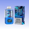 Waspe Box 20000 Puffs | E papierosy Polska Waspe Box 20000 Puffs | E papierosy Polska