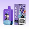 Waspe Aiviou 40000 Puffs | E papierosy Polska Waspe Aiviou 40000 Puffs | E papierosy Polska