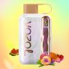 Vozol Star 40000 Puffs | E papierosy Polska Vozol Star 40000 Puffs | E papierosy Polska